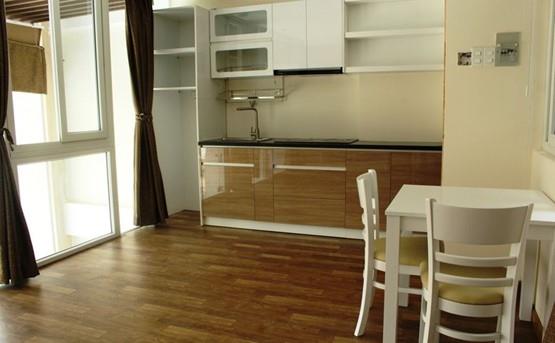 serviced apartment for rent in thao dien ward district 2 hcmc D299112 (4)